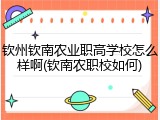 钦州钦南农业职高学校怎么样啊(钦南农职校如何)