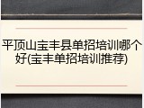 平顶山宝丰县单招培训哪个好(宝丰单招培训推荐)