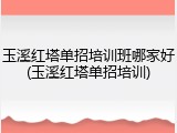 玉溪红塔单招培训班哪家好(玉溪红塔单招培训)