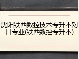 沈阳铁西数控技术专升本对口专业(铁西数控专升本)