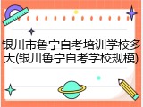 银川市鲁宁自考培训学校多大(银川鲁宁自考学校规模)