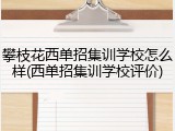 攀枝花西单招集训学校怎么样(西单招集训学校评价)