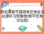黔东南黎平县高考艺考生文化课补习班推荐(黎平艺考文化班)