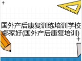 国外产后康复训练培训学校哪家好(国外产后康复培训)