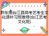 黔东南台江县高考艺考生文化课补习班推荐(台江艺考文化班)