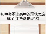 初中考不上高中的现状怎么样了(中考落榜现状)