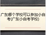 广东哪个学校可以参加小自考(广东小自考学校)