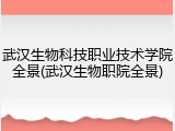 武汉生物科技职业技术学院全景(武汉生物职院全景)