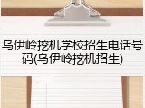 乌伊岭挖机学校招生电话号码(乌伊岭挖机招生)