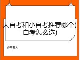 大自考和小自考推荐哪个(自考怎么选)