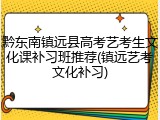 黔东南镇远县高考艺考生文化课补习班推荐(镇远艺考文化补习)