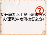初升高考不上高中应该怎么办理呢(中考落榜怎么办)