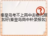 秦皇岛考不上高中去哪儿报名好(秦皇岛高中补录报名)