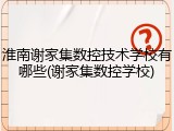 淮南谢家集数控技术学校有哪些(谢家集数控学校)