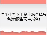 借读生考不上高中怎么样报名(借读生高中报名)