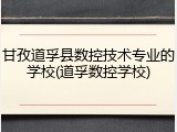 甘孜道孚县数控技术专业的学校(道孚数控学校)