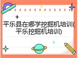 平乐县在哪学挖掘机培训(平乐挖掘机培训)