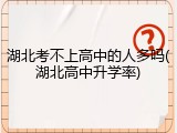 湖北考不上高中的人多吗(湖北高中升学率)