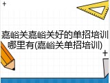 嘉峪关嘉峪关好的单招培训哪里有(嘉峪关单招培训)