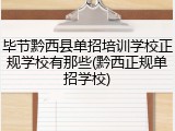 毕节黔西县单招培训学校正规学校有那些(黔西正规单招学校)