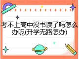 考不上高中没书读了吗怎么办呢(升学无路怎办)