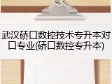 武汉硚口数控技术专升本对口专业(硚口数控专升本)