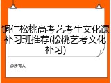 铜仁松桃高考艺考生文化课补习班推荐(松桃艺考文化补习)