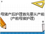 母猪产后护理首先要从产前(产前母猪护理)