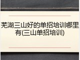 芜湖三山好的单招培训哪里有(三山单招培训)