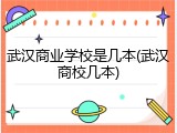 武汉商业学校是几本(武汉商校几本)