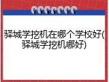驿城学挖机在哪个学校好(驿城学挖机哪好)