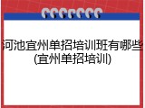 河池宜州单招培训班有哪些(宜州单招培训)