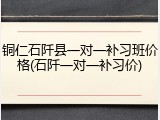 铜仁石阡县一对一补习班价格(石阡一对一补习价)