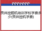贡井挖掘机培训学校学费多少(贡井挖机学费)