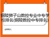 铜陵狮子山数控专业中专学校排名(铜陵数控中专排名)