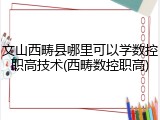 文山西畴县哪里可以学数控职高技术(西畴数控职高)