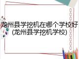 龙州县学挖机在哪个学校好(龙州县学挖机学校)