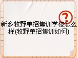 新乡牧野单招集训学校怎么样(牧野单招集训如何)