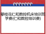攀枝花仁和数控机床培训班学费(仁和数控培训费)