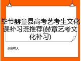 毕节赫章县高考艺考生文化课补习班推荐(赫章艺考文化补习)