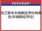 乌兰察布丰镇数控学校有哪些(丰镇数控学校)