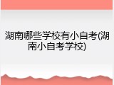 湖南哪些学校有小自考(湖南小自考学校)