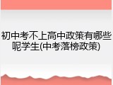 初中考不上高中政策有哪些呢学生(中考落榜政策)