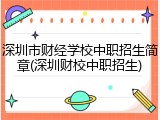 深圳市财经学校中职招生简章(深圳财校中职招生)
