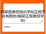 铜梁县单招培训学校正规学校有那些(铜梁正规单招学校)