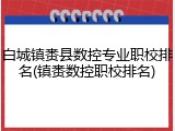 白城镇赉县数控专业职校排名(镇赉数控职校排名)