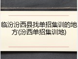 临汾汾西县找单招集训的地方(汾西单招集训地)