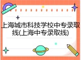 上海城市科技学校中专录取线(上海中专录取线)