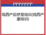 鸡西产后修复培训(鸡西产康培训)