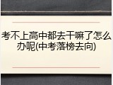 考不上高中都去干嘛了怎么办呢(中考落榜去向)
